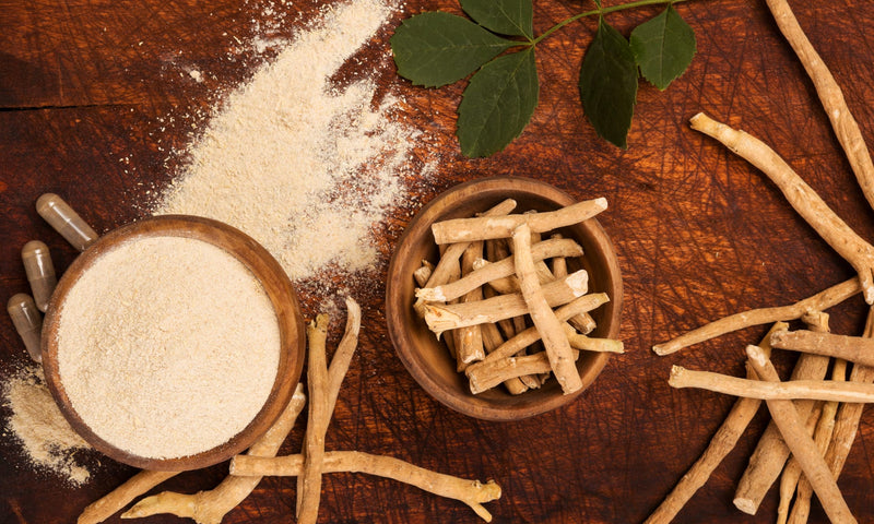 Ashwagandha for Women: 7 Benefits