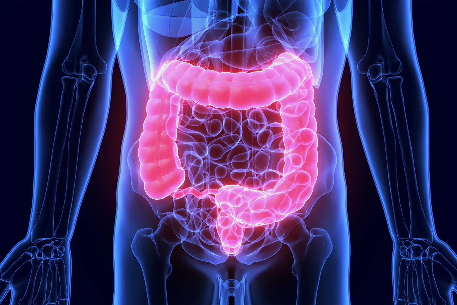 articles/8__Tips_To_Improve_Gut_Health_qu7gm7.webp