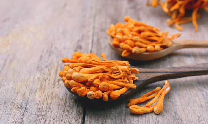 articles/Cordyceps_AdobeStock_123983324_jvmaku_5-3-crop_un1dxg_bfa6fa30-0806-4031-b650-6bb06a013cb5.jpg