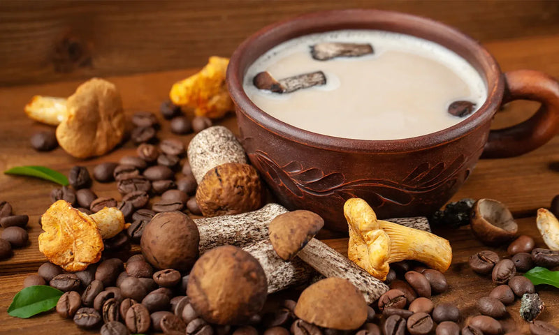 Mushroom Coffee: Using It to Benefit Your Health