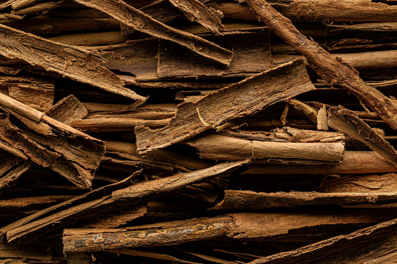 How Adaptogens Support Physical and Mental Endurance in Men