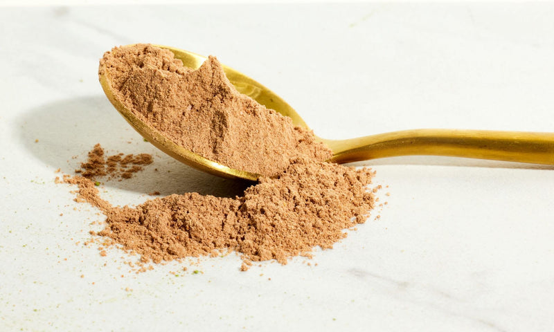 Protein Supplement Myths & Facts