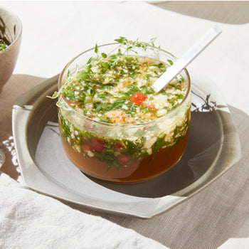 Veggie Broth with Plant Protein