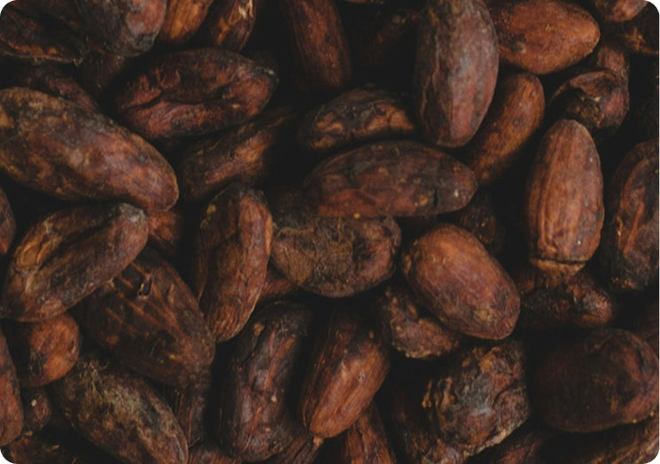 Cacao