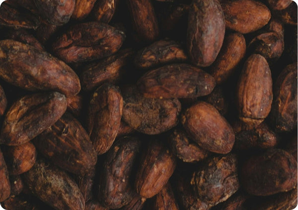 Cacao