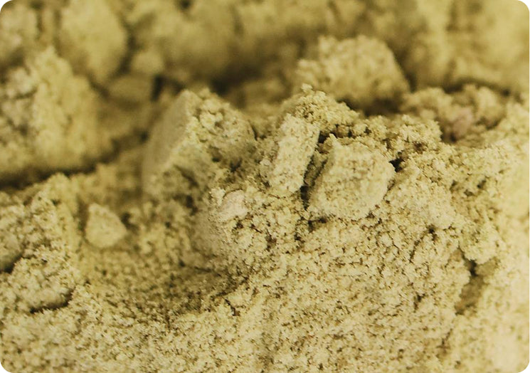 Chocho Plant Protein