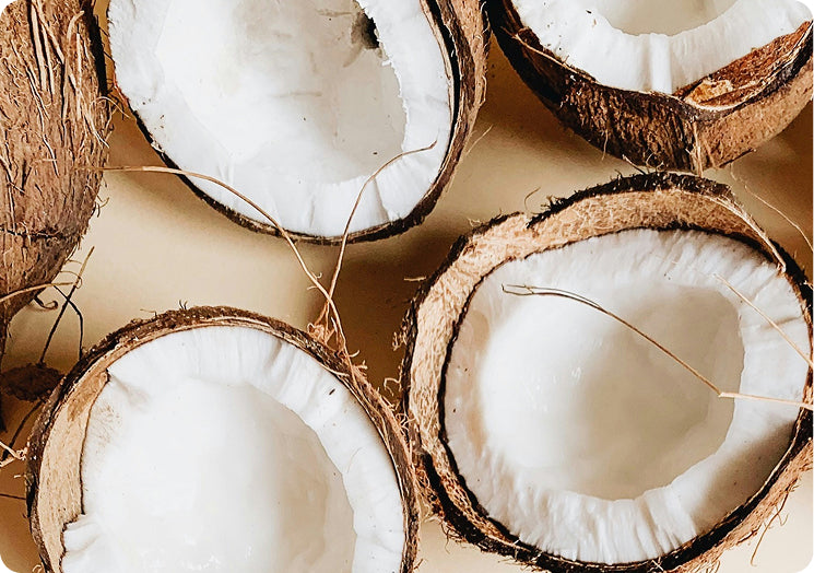 Coconut