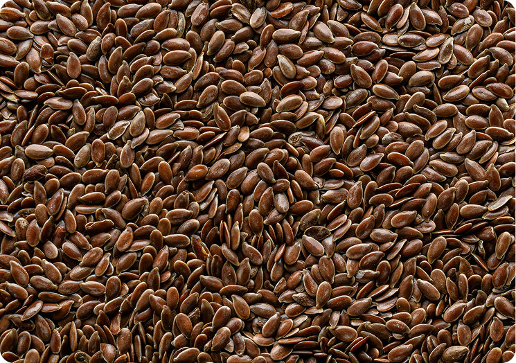Flaxseed