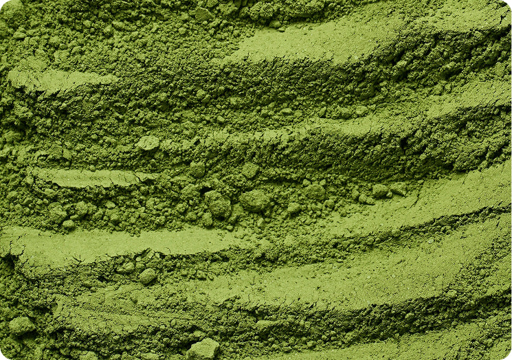 Arctic Sea Algae