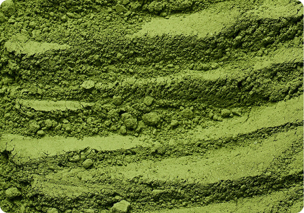 Arctic Sea Algae