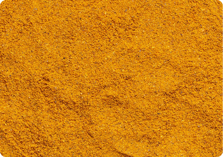 Turmeric