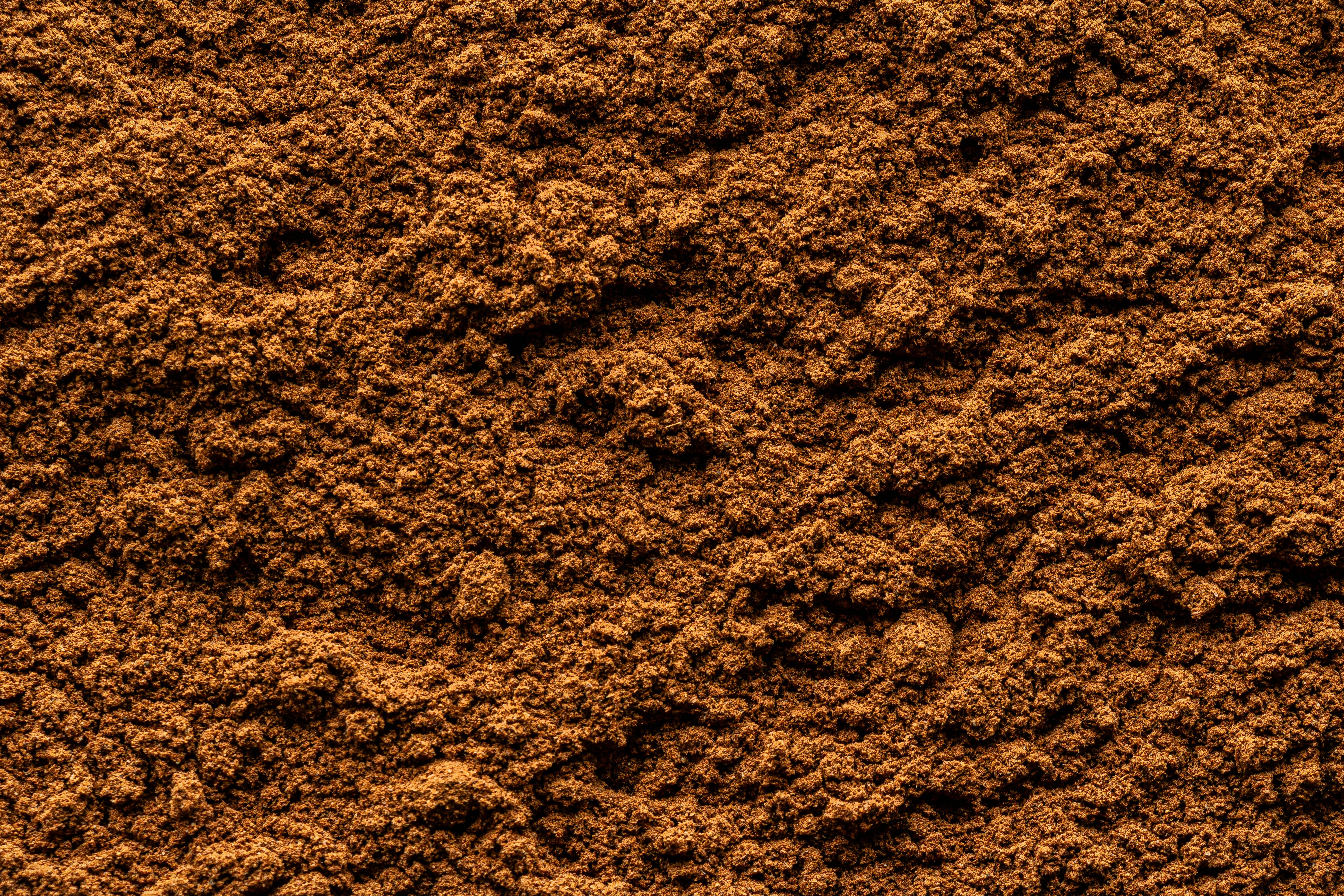 Organic Pumpkin Protein