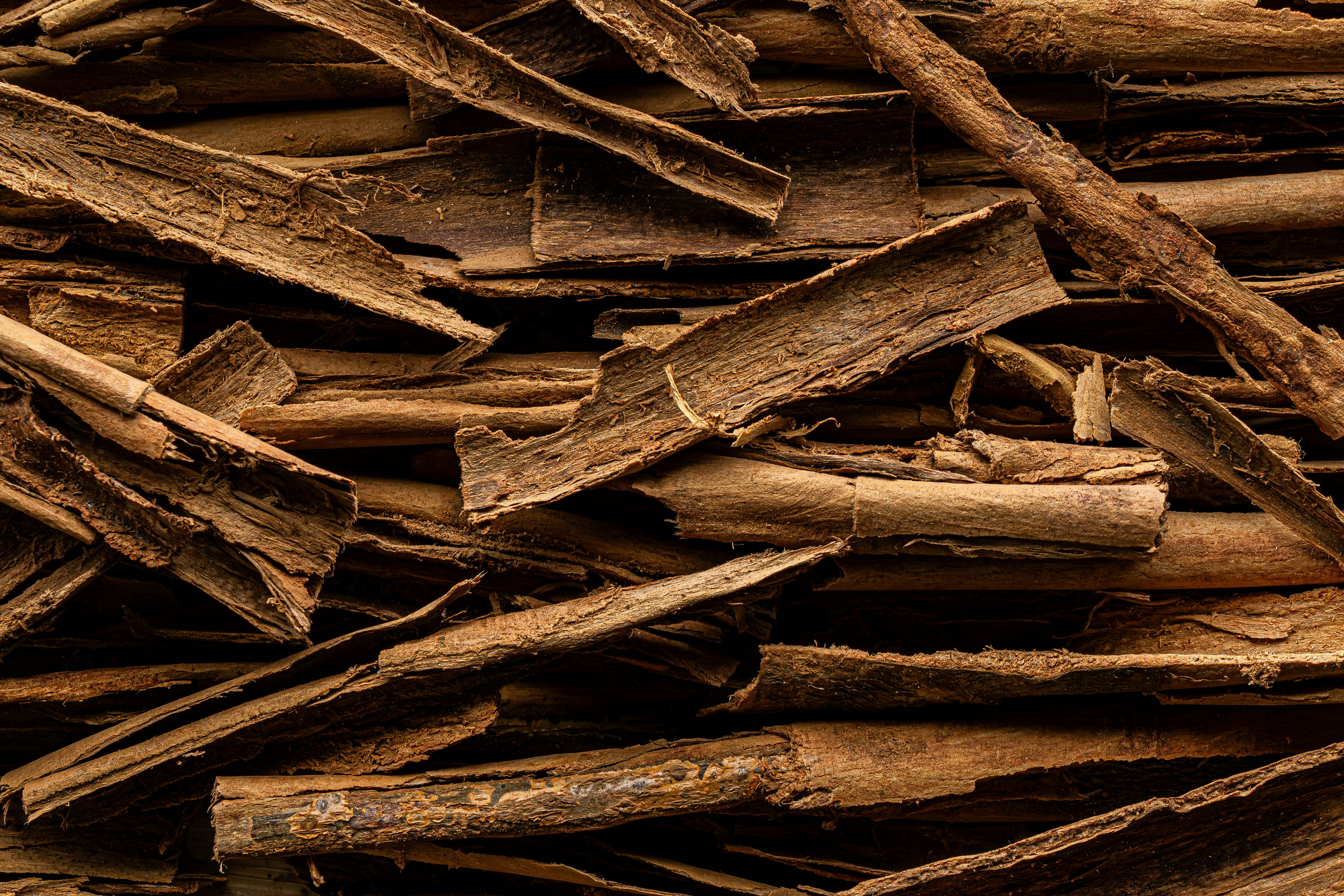 Ceylon Cinnamon