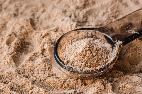 Organic Pea Protein